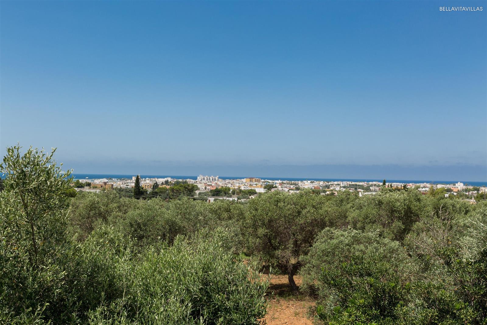 Affitto villa con piscina a Porto Cesareo